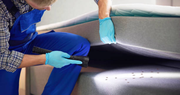 Best Best Pest Control Companies  in Dry Ridge, KY