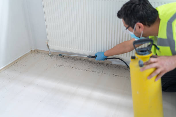 Pest Prevention Services in Dry Ridge, KY