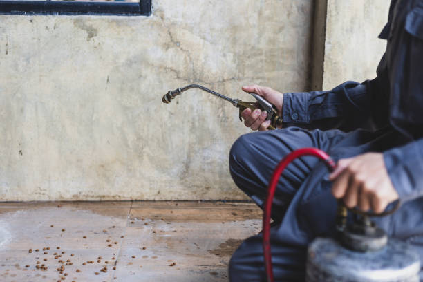 Best Termite Control Services  in Dry Ridge, KY