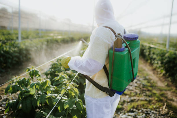 Best Pest Control for Homes  in Dry Ridge, KY